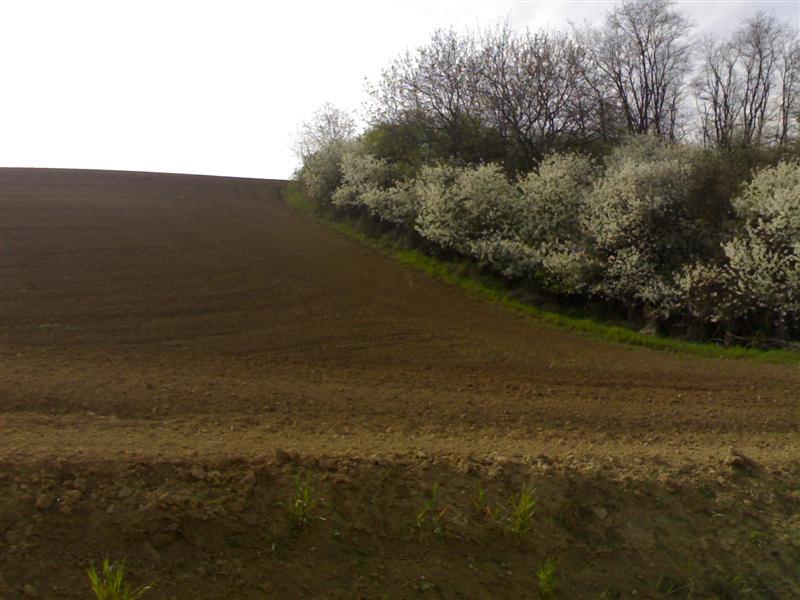 200704091738 .jpg